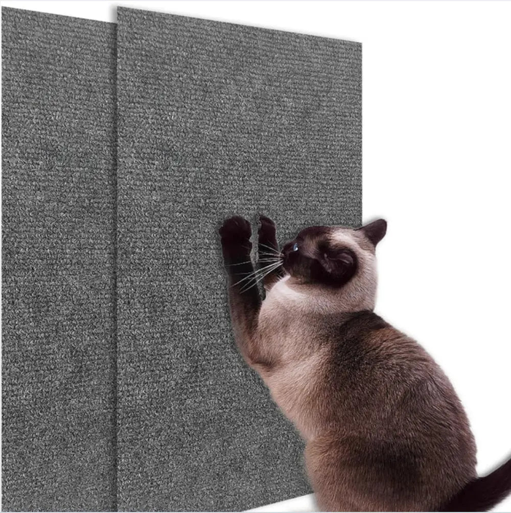 Climbing Cat Scratcher Pad