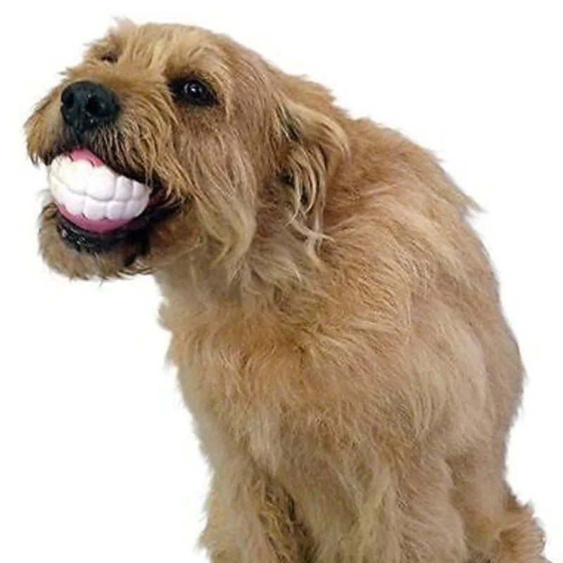 Pet Ball Chew Toys for Large Breeds